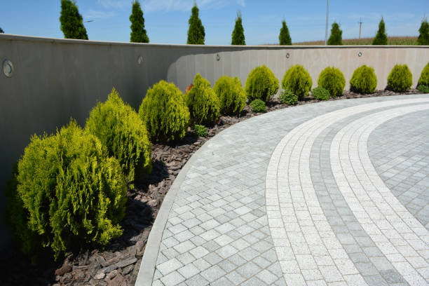 Best Eco-Friendly Driveway Paving in Boyceville, WI